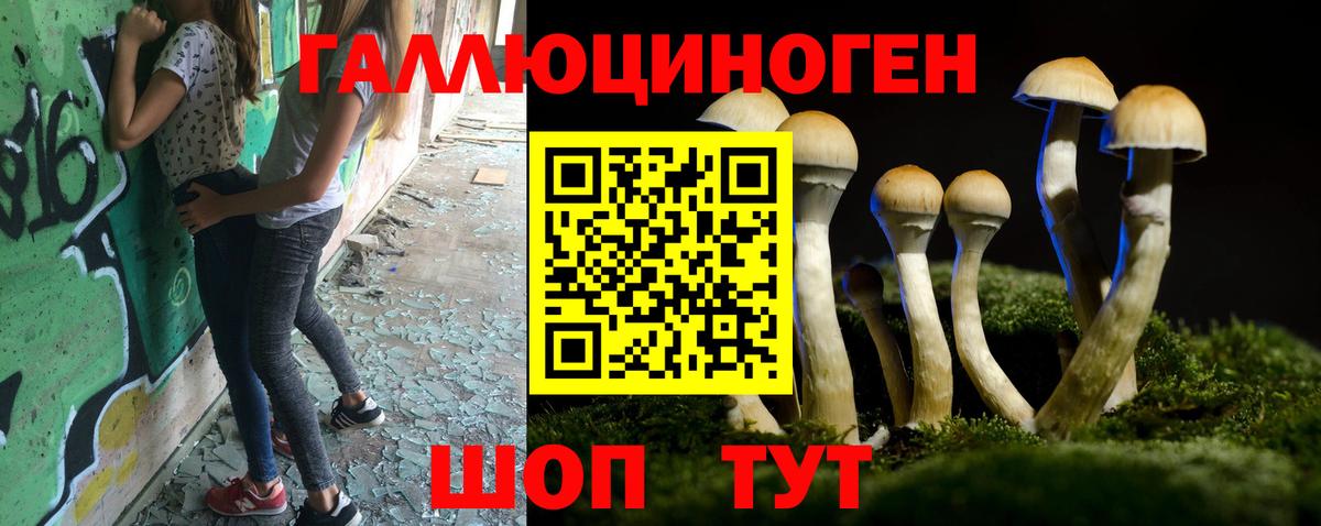 Псилоцибиновые грибы Psilocybine cubensis  Вход с VPN  Нижний Новгород 