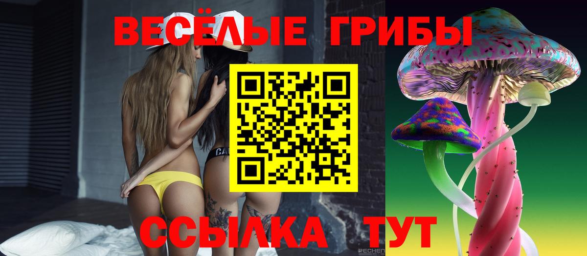 Псилоцибиновые грибы Cubensis Нижний Новгород